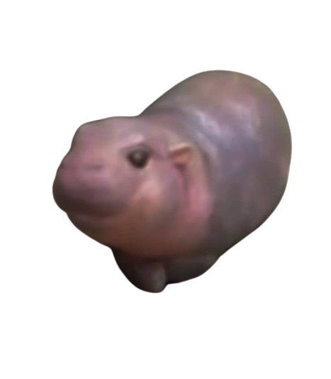 Baby Hippo